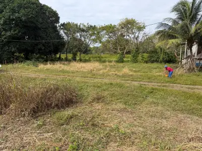 Vista 4