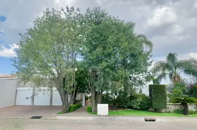 Estupenda propiedad en venta en cumbres del campestre zona n