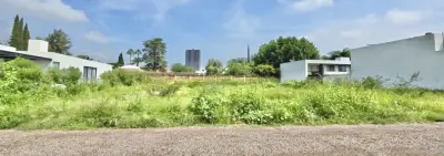Vista 4