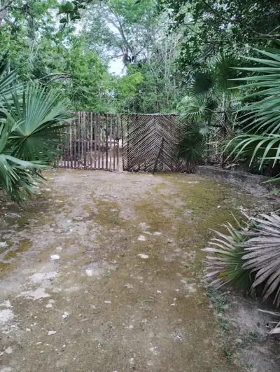 Vista 3
