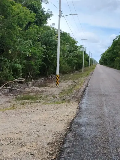 Vista 2