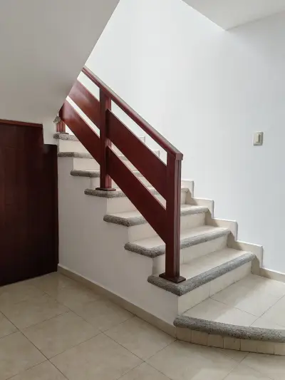 Vista 4
