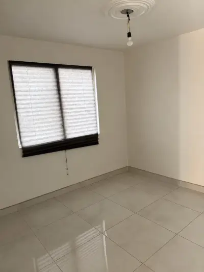 Vista 4