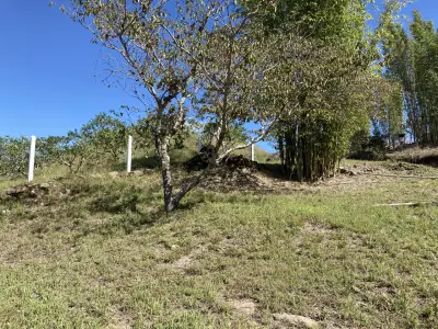Terreno en venta en Coatepec - foto 3