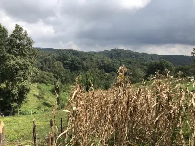 Terreno en venta en Coatepec - foto 2