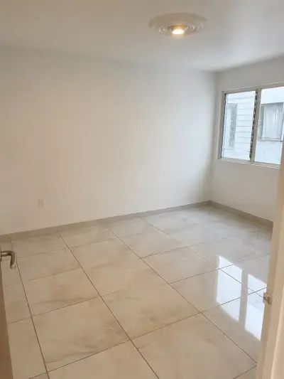 Vista 5