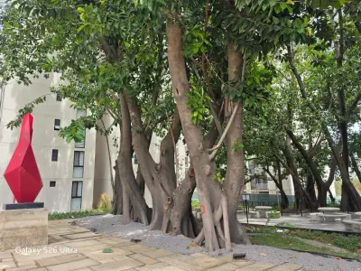 Departamento en renta en Tlaquepaque - foto 2