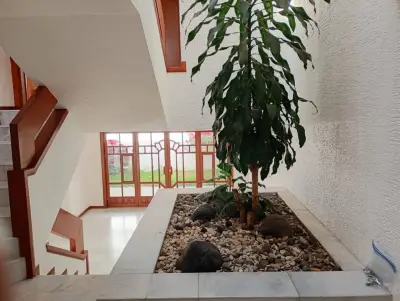 Casa en renta en Tlajomulco de Zúñiga - foto 5