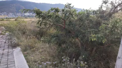 Terreno en venta en Morelia - foto 3