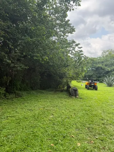 Terreno en venta en Tepoztlán - foto 5