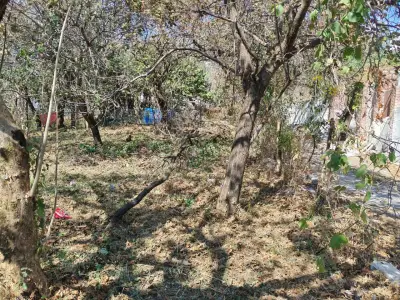 Terreno en venta en Tepoztlán - foto 5