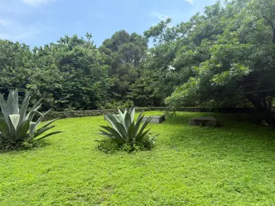 Terreno en venta en Tepoztlán - foto 4