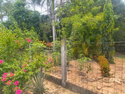 Terreno en venta en Nacajuca - foto 5