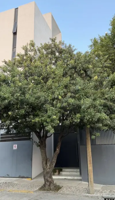 Departamento en renta en León - foto 2