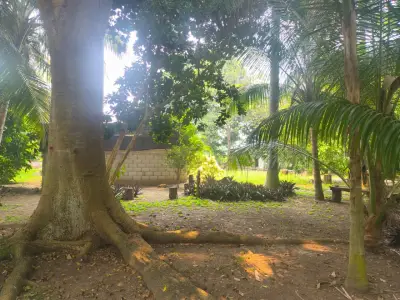 Terreno en venta en Nacajuca - foto 2