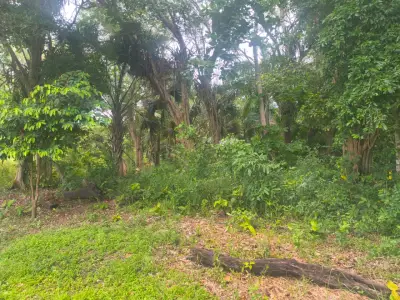 Terreno en venta en Nacajuca - foto 4
