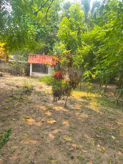 Vendo terreno tipo quinta r/a taxco km 20 carrt  vhsa nacaju