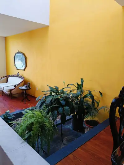 Casa en venta en San Luis Potosí - foto 3