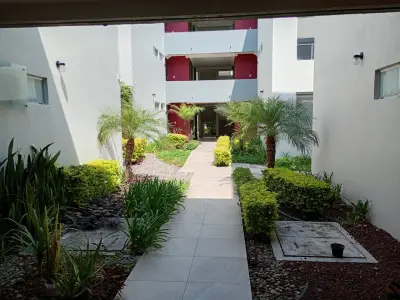 Departamento en renta en Tlajomulco de Zúñiga - foto 5