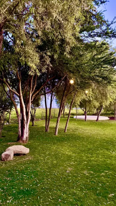 Casa en venta en Jocotepec - foto 3
