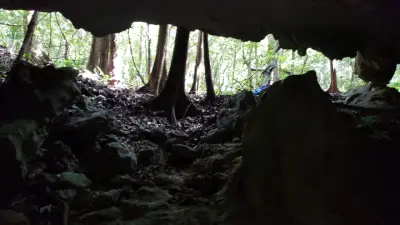 Terreno en venta en Tulum - foto 4