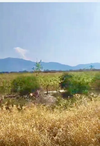 Centro logístico acatlán