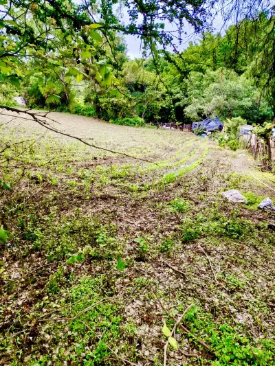 Terreno en venta en Acatlán de Juárez - foto 4