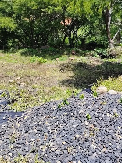 Terreno en venta en Jocotepec - foto 3