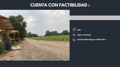 Terreno en venta en Pesquería - foto 5