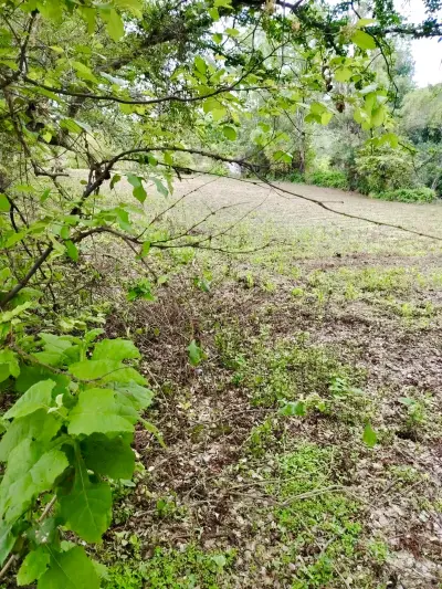 Terreno en venta en Acatlán de Juárez - foto 3