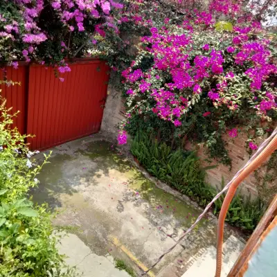 Departamento en renta en Coyoacán - foto 2