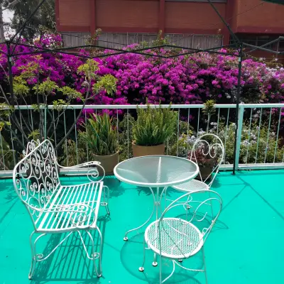 Departamento en renta en Coyoacán - foto 3