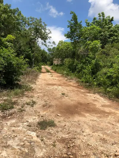 Terreno en venta en Solidaridad - foto 2