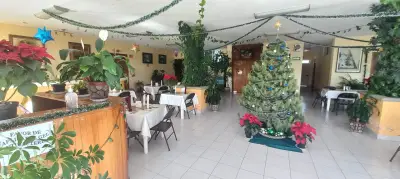 Local comercial en venta en Apizaco - foto 2