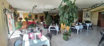 Local comercial en venta en Apizaco - foto 4