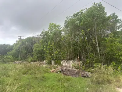 Terreno en venta en Cancun - foto 2