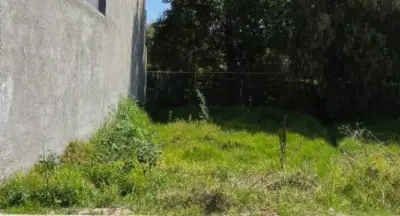 Terreno en venta en Perote - foto 5