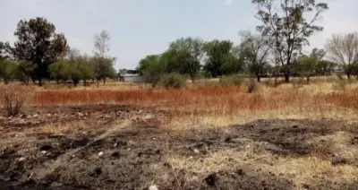 Terreno en venta en San Francisco del Rincón - foto 2