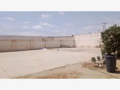 Terreno en renta en Tijuana - foto 2