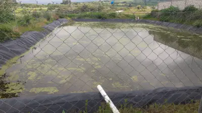 Renta de finca agropecuaria y ecoturistica en Morelos