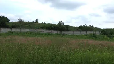 Terreno en renta en Totolapan - foto 5