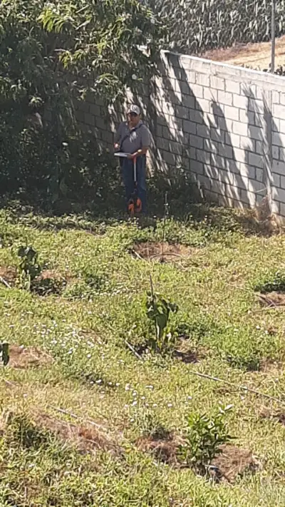 Terreno en renta en Totolapan - foto 3