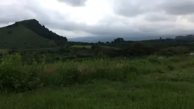 Terreno en renta en Totolapan - foto 4