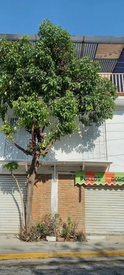 Otros inmuebles en renta en Cuernavaca - foto 3