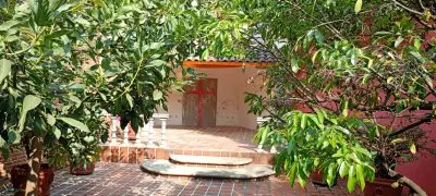 Otros inmuebles en renta en Cuernavaca - foto 5