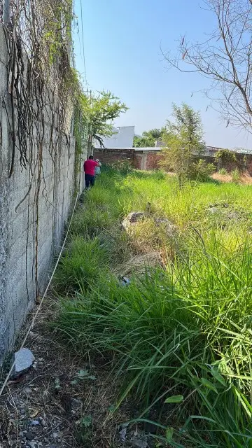 Terreno en renta en Temixco - foto 5