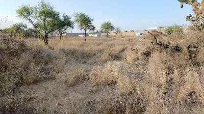 Terreno en La Loma, Mexquitic de Carmona