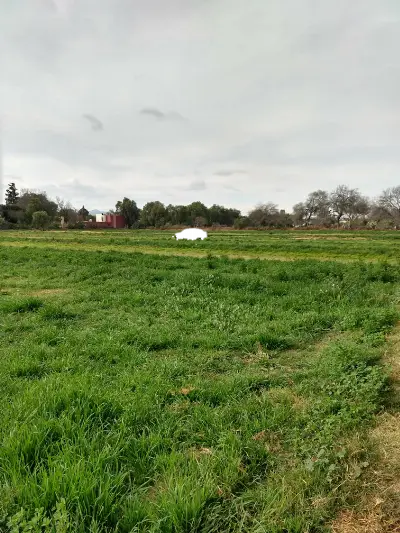 Terreno en venta en Soledad de Graciano Sánchez - foto 3