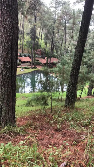 Terreno en venta en Atemajac de Brizuela - foto 5