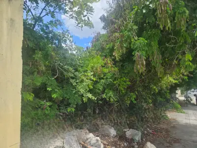 Terreno en venta en Mérida - foto 3
